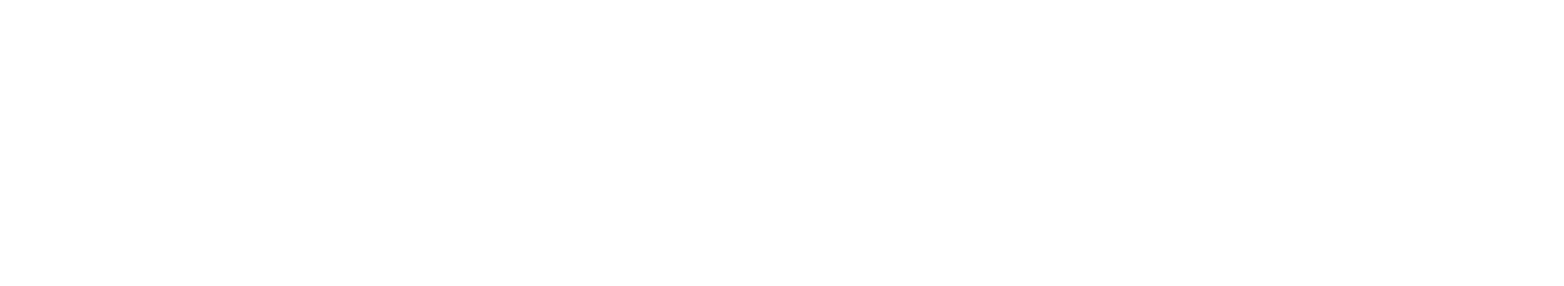 Dauntless PRO Skydiving Team